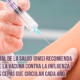 Influenza, más que una resfrío común