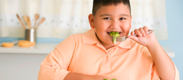 El Plato Del Bien Comer Para Evitar La Obesidad Infantil