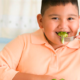 El plato del bien comer para evitar la obesidad infantil