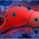 Hepatitis. Se puede evitar el contagio